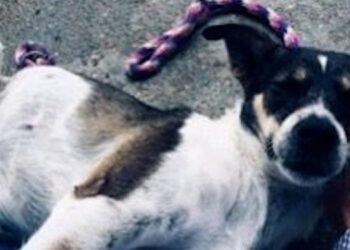 Imputaron cargos a sujeto por golpear a ‘Juana de Arco’