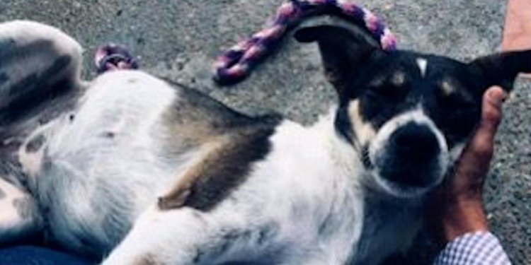 Imputaron cargos a sujeto por golpear a ‘Juana de Arco’