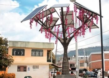 Adjudicado contrato para el mantenimiento de los árboles solares en Ibagué
