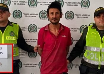 Las autoridades capturaron a un sujeto, quien fue sorprendido provocando un incendio forestal en el barrio La Cartagena de Ibagué