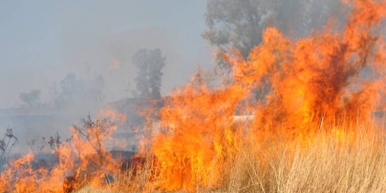 Controlan incendio forestal en zona rural de Melgar