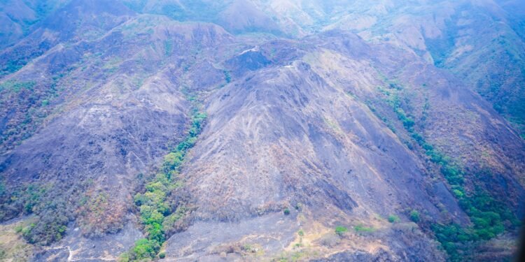 10% de bosques secos han sido afectados por incendios en el Tolima