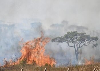 Más de 100 incendios se han reportado en Ibagué en los últimos 40 días