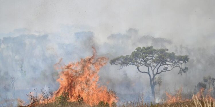 Más de 100 incendios se han reportado en Ibagué en los últimos 40 días