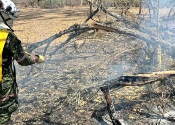Ejército Nacional interviene 7.000 hectáreas de vegetación afectadas por incendios forestales en el Tolima 