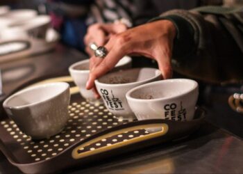 Así se realizarán las subastas de microlotes en la feria de cafés de planadas