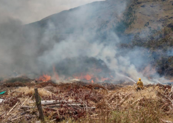 Así se fortalecerá la recuperación en el Tolima luego de las emergencias con incendios forestales