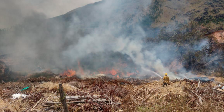 Así se fortalecerá la recuperación en el Tolima luego de las emergencias con incendios forestales
