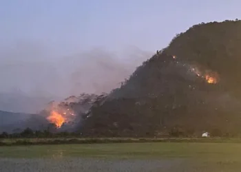 Así puede ayudar a los afectados por incendios forestales en el Tolima