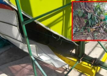 Sin sentido de pertenencia, ya vandalizaron y robaron partes de la instalación del alumbrado navideño que no ha sido iluminado