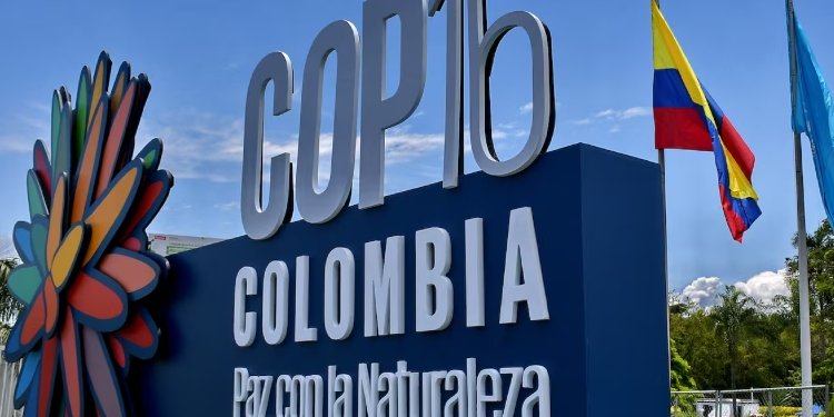 El Colectivo Ley de Origen lanza “Paz con la Naturaleza”, himno oficial de la COP16 en Cali
