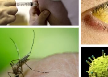 Reportar un caso de contagio por fiebre amarilla en Villarrica 