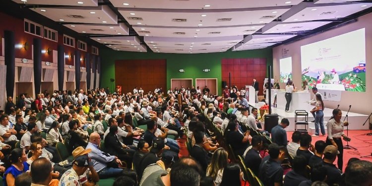 30 compradores internacionales harán parte de la Feria de Cafés Especiales en Planadas 