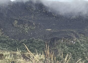 Incendio forestal afectó el Parque Natural Nacional de Los Nevados 