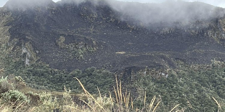 Incendio forestal afectó el Parque Natural Nacional de Los Nevados 