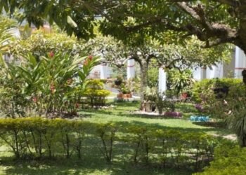 Secretaria de Desarrollo Social de Ibagué precisó las condiciones en el Jardín de Los Abuelos