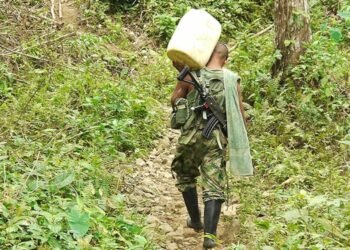 En lo corrido de ese año, 14 personas han sido rescatadas por la Fuerza Pública del reclutamiento forzado