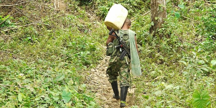 En lo corrido de ese año, 14 personas han sido rescatadas por la Fuerza Pública del reclutamiento forzado