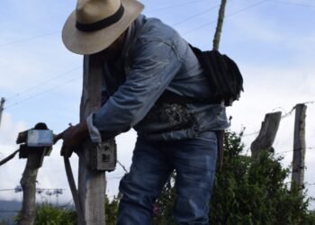 Cortolima le apuesta al monitoreo comunitario de fauna silvestre en Cajamarca