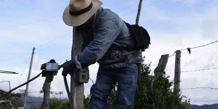 Cortolima le apuesta al monitoreo comunitario de fauna silvestre en Cajamarca