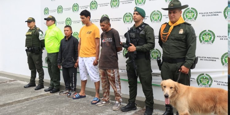 Policía reveló más detalles de desarticulación de ‘Los Cancerberos’, que instrumentalizarían a menores de edad