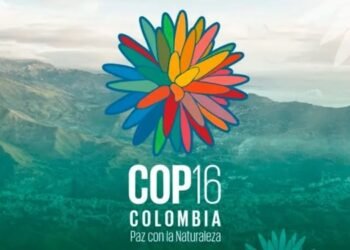Conozca los avances de la COP16 en Cali, según reporte de la ministra de Ambiente Susana Muhamad