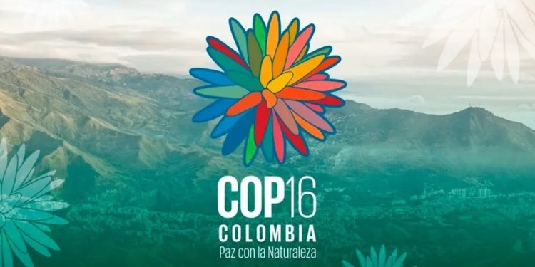 Conozca los avances de la COP16 en Cali, según reporte de la ministra de Ambiente Susana Muhamad