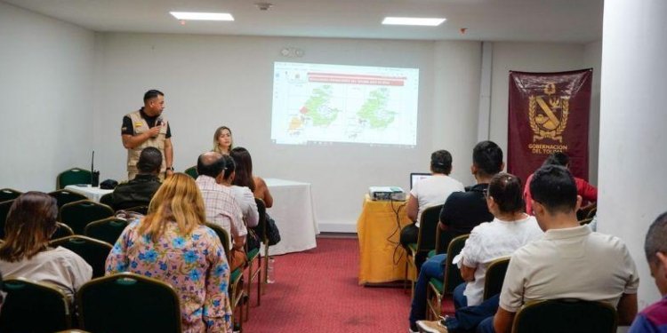 Así avanzan las labores de Desminado Humanitario en el Tolima 