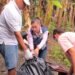 Autoridades de salud intensifican lucha contra el dengue en el Tolima 
