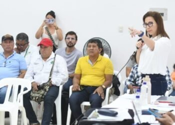 Autoridades en el Tolima buscan mitigar impacto por incendios forestales en el sur del departamento 
