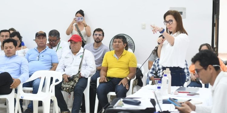 Autoridades en el Tolima buscan mitigar impacto por incendios forestales en el sur del departamento 