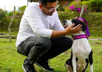 Trasladar a Ibagué a Kira perrita abusada sexualmente en Planadas 