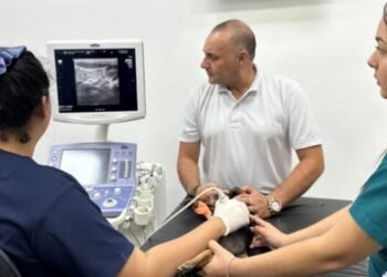 Llegan los primeros animalitos atendidos bajo el convenio entre la Gobernación del Tolima y Hospital Veterinario de la UT