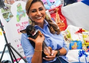 Autoridades celebran decisión del Consejo de Estado que restringe cirugías estéticas en mascotas 