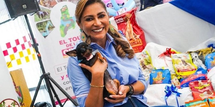 Autoridades celebran decisión del Consejo de Estado que restringe cirugías estéticas en mascotas 