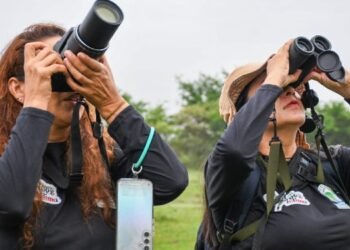 Se cumplieron primeras jornadas de avistamiento durante Festival de Aves del Tolima