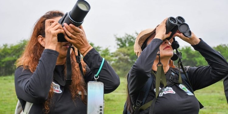 Se cumplieron primeras jornadas de avistamiento durante Festival de Aves del Tolima
