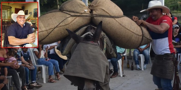 Proyecto de acuerdo para celebrar la semana del campesino será presentada ante el Concejo
