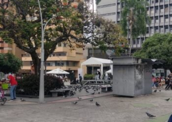 Ventas informales en carros tipo jeep y otros automotores fueron retirados del Centro de la Ciudad