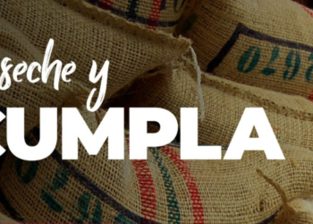 Federación Nacional de Cafeteros lanza la estrategia  “Coseche y Cumpla”,