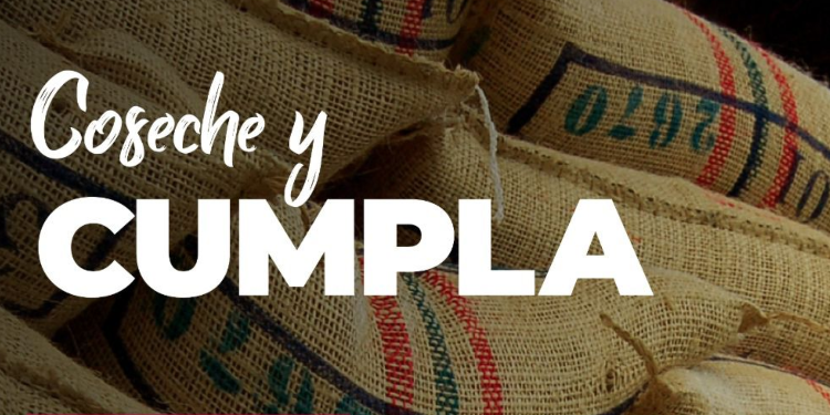 Federación Nacional de Cafeteros lanza la estrategia  “Coseche y Cumpla”,