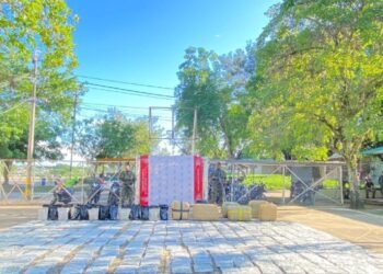 Incautan cerca de 300 kg de marihuana pertenecientes a las disidencias de las Farc en Rioblanco 