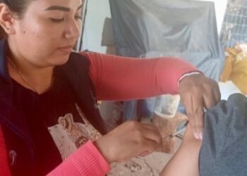 Fiebre amarilla se mantiene con 12 casos positivos en el departamento del Tolima 