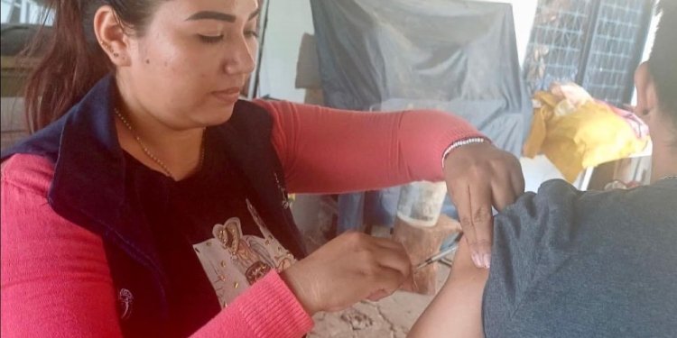 Fiebre amarilla se mantiene con 12 casos positivos en el departamento del Tolima 