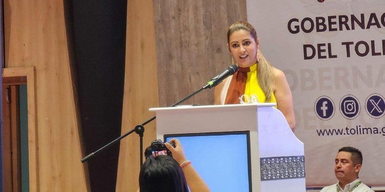 Gobernadora busca consolidar el Tolima como un Centro Nacional de Inversión