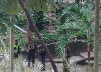 Jóvenes que ensayan percusión en el Parque Centenario, denuncian posible abuso de autoridad