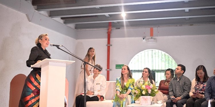 Alcaldesa hizo el llamado a la senadora que visitó Ibagué para lograr la instalación de la malla en el puente de la variante