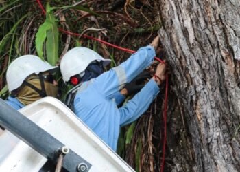 Refuerzan seguridad del alumbrado navideño en Ibagué ante aumento de vandalismo