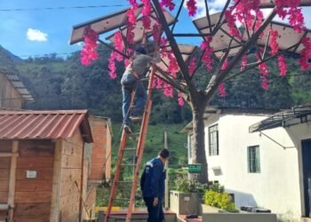 Por conectar un congelador quemaron Árbol Solar de Juntas