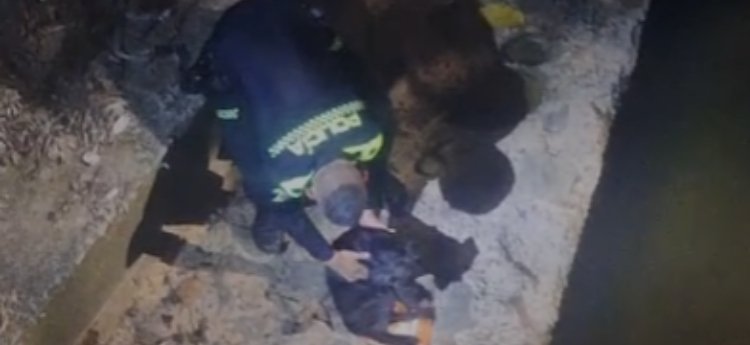 Sony, el perrito que rescató la policía en Melgar 